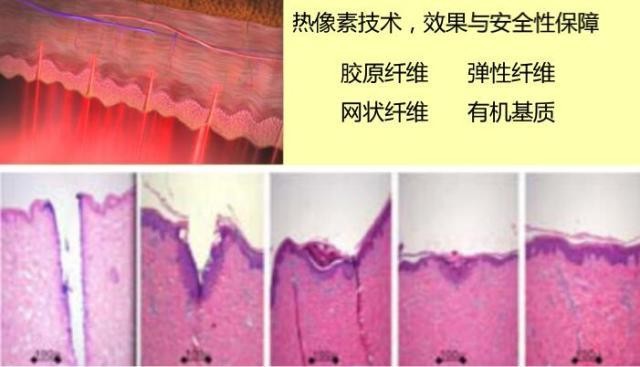 微信图片_20180622165006.jpg